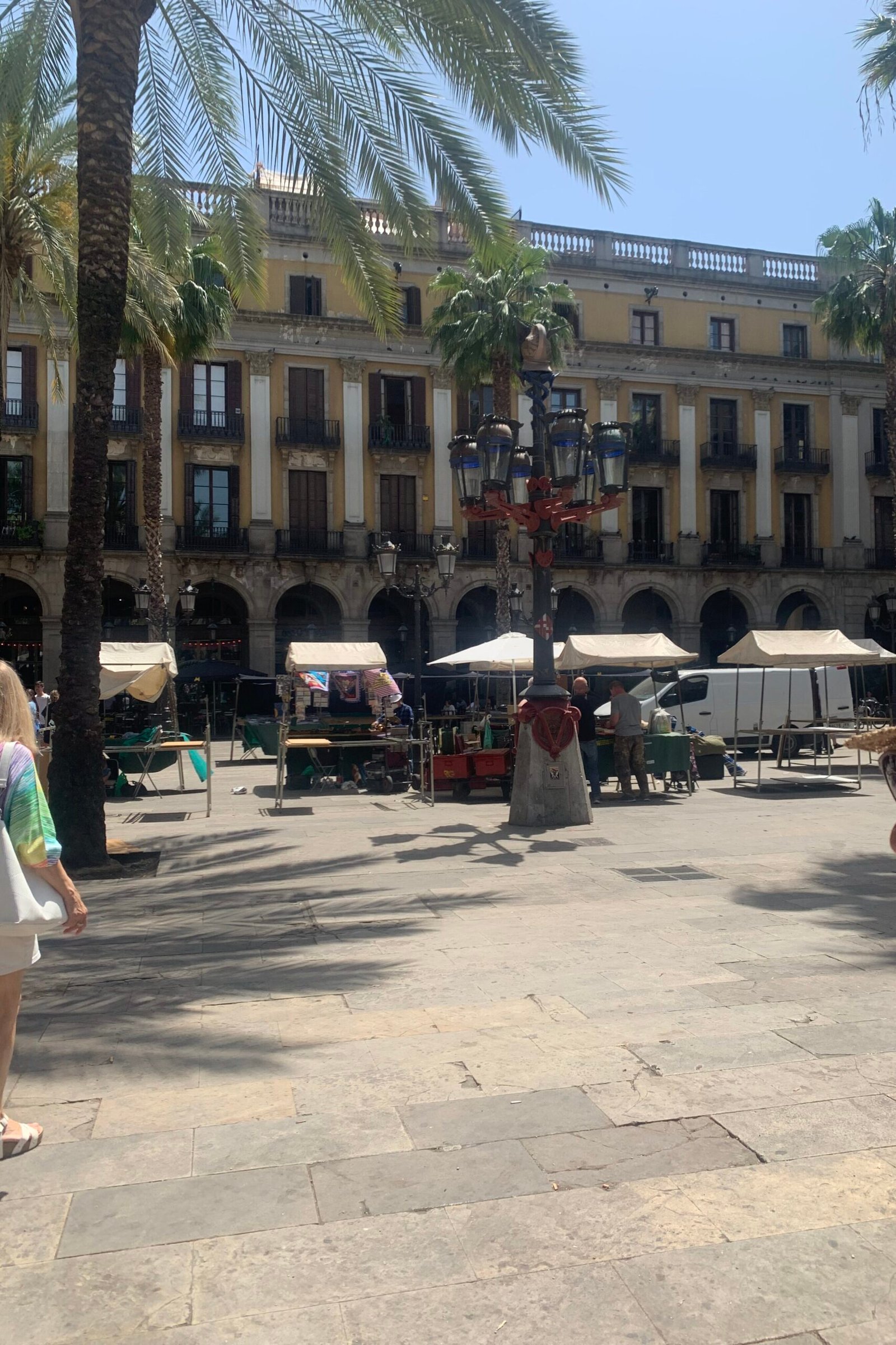 Sunny square with palm trees and historic buildings in Barcelona’s Gothic Quarter, charming area featured in Where to Stay in Barcelona guide