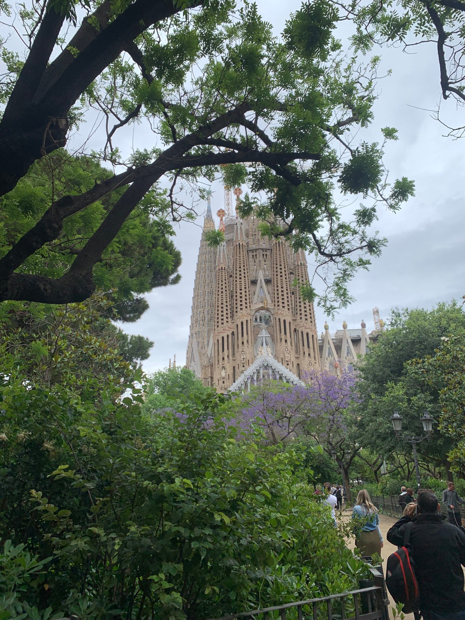 Sagrada Família surrounded by trees and visitors in Barcelona