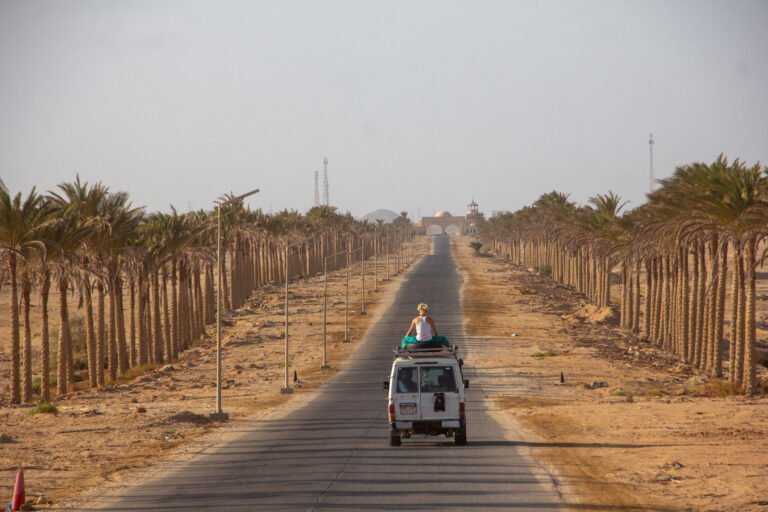 7 Days in Marsa Alam Itinerary