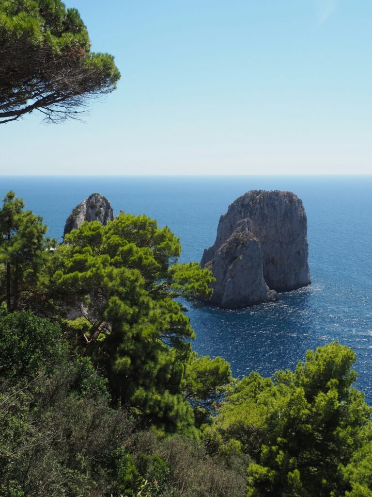 View of the Faraglioni rock formations off the coast of Capri surrounded by pine trees and deep blue sea.