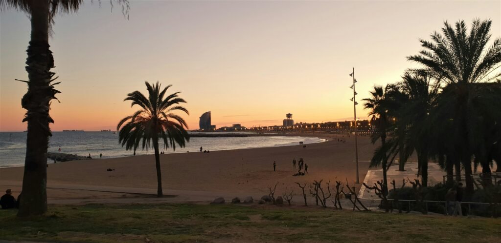 Sunset view of Barceloneta Beach with palm trees and coastline, one of the best Free Things to Do in Barcelona