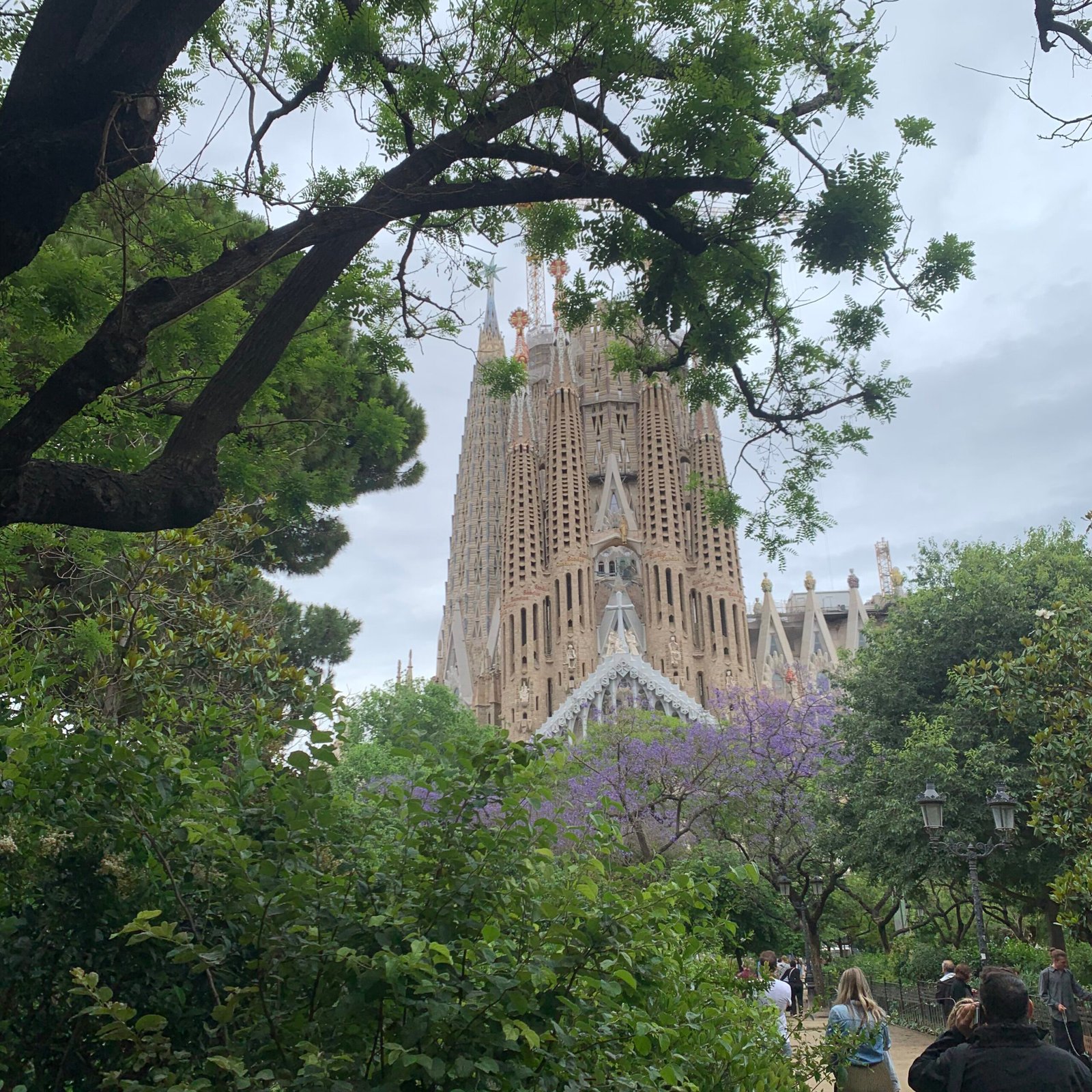 Sagrada Família surrounded by trees and visitors in Barcelona