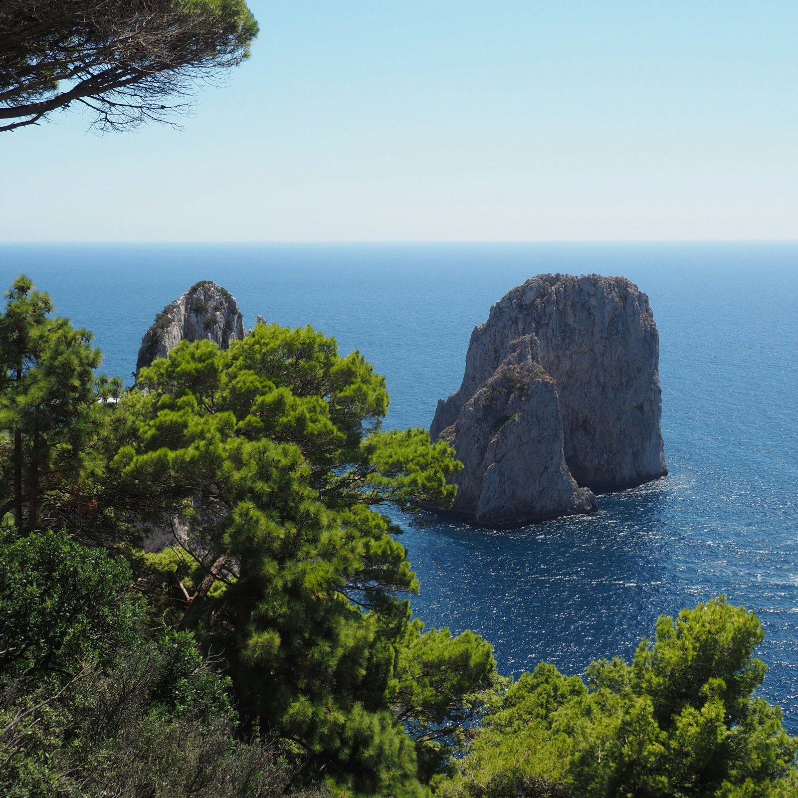 View of the Faraglioni rock formations off the coast of Capri surrounded by pine trees and deep blue sea.