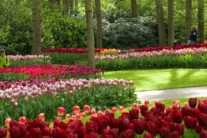 Best Day Trips from Amsterdam (Worth It vs. Skip)