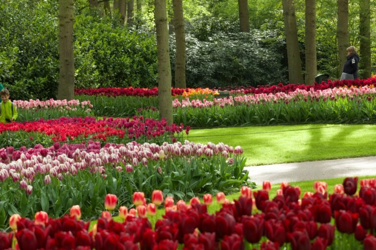 Best Day Trips from Amsterdam (Worth It vs. Skip)