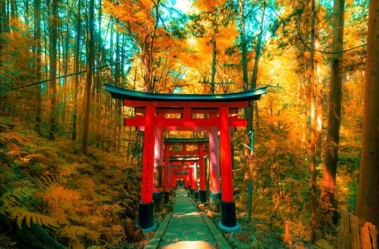 Japan Fall Foliage Guide: When and Where to See the Best Autumn Colors