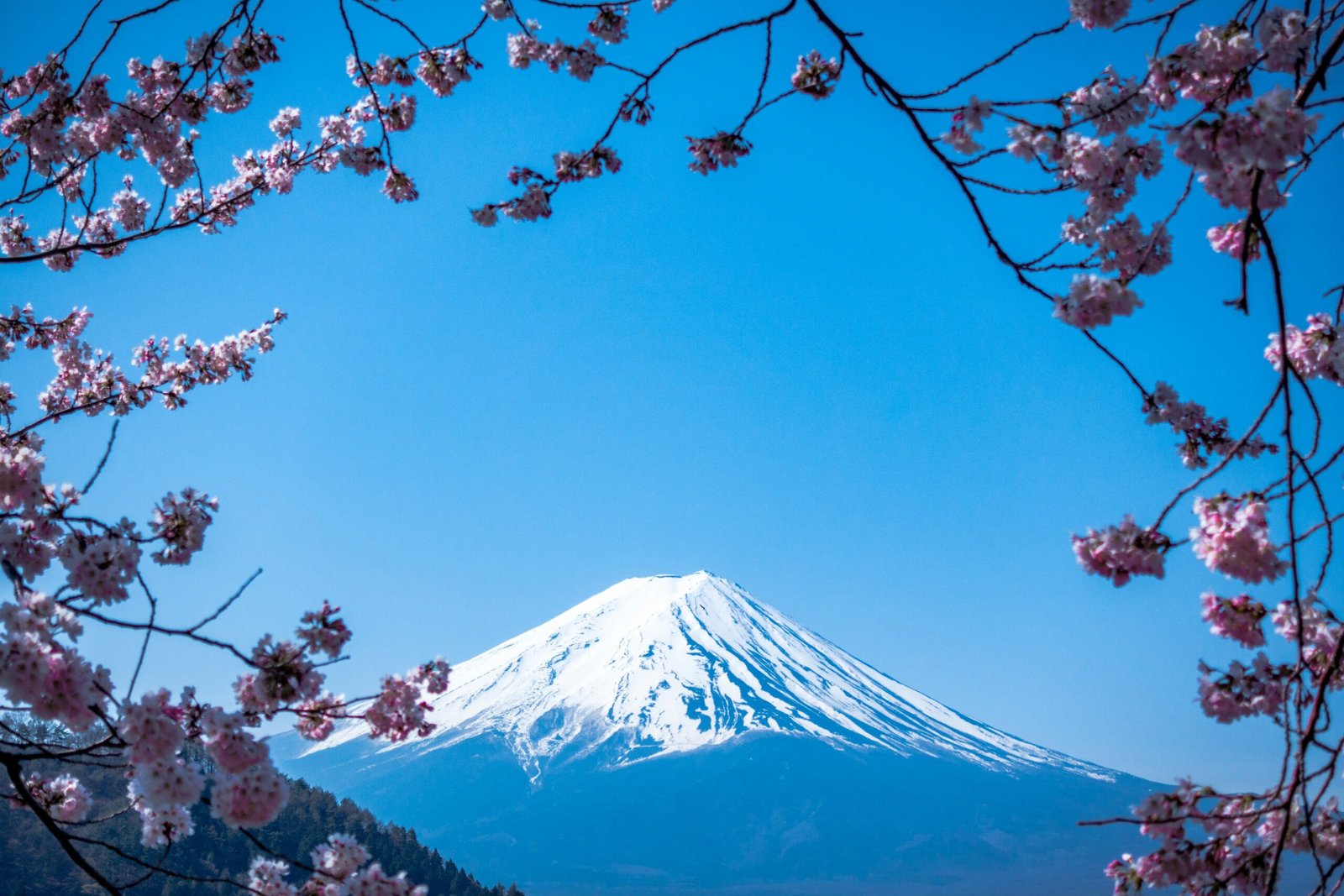 Japan 10-Day Itinerary