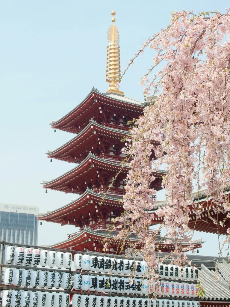 Best Things to Do in Kyoto