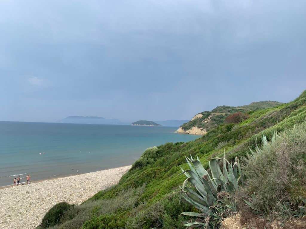 Gerakas Beach Zakynthos with soft sand and turtle nesting markers