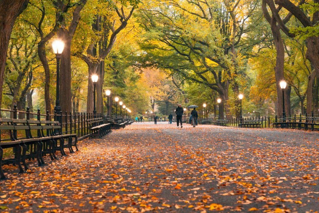 Central Park Mall in New York with fall leaves and lit street lamps