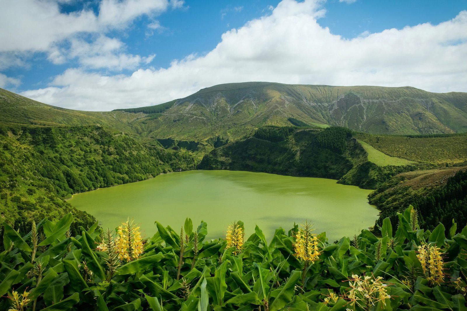 Things to Do in São Miguel: The Best of the Azores (+ How Many Days You Need)
