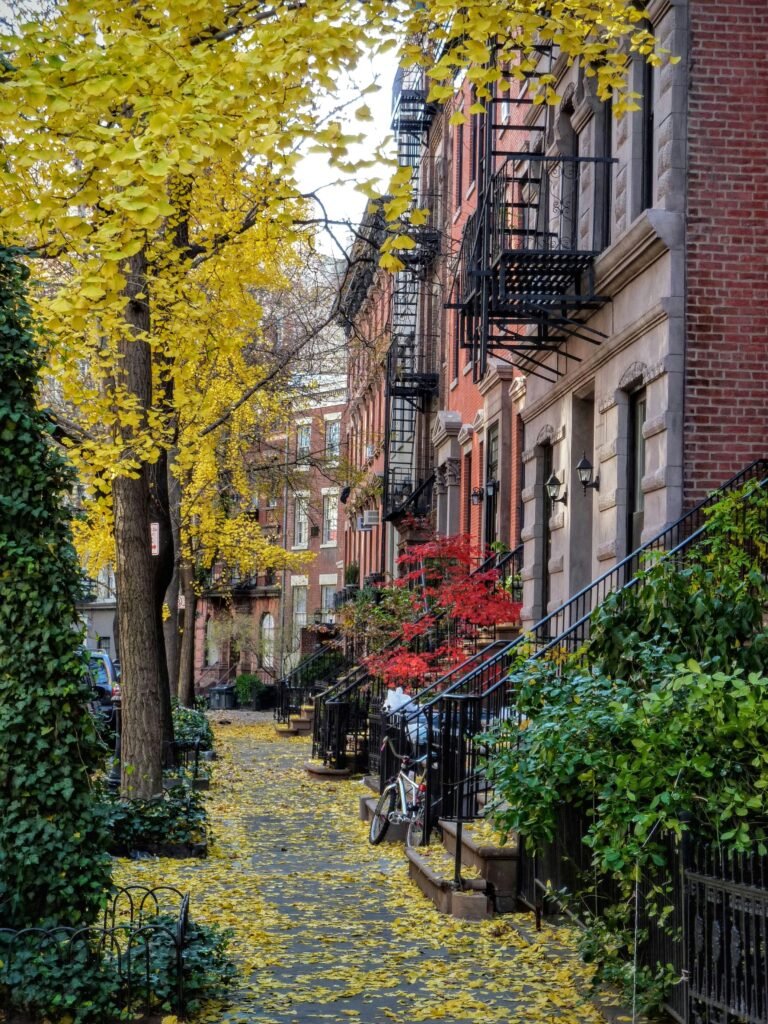 25 Best Things to do in NYC