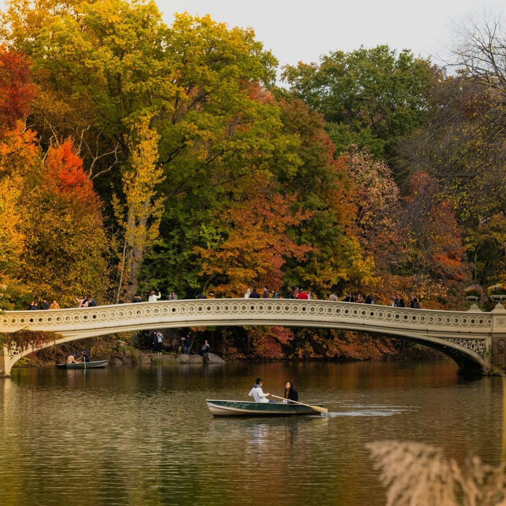 Bow Bridge in Central Park surrounded by fall foliage
