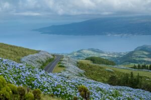 Best Time to Visit the Azores: Month by Month (Weather, Whales, Crowds & Costs)