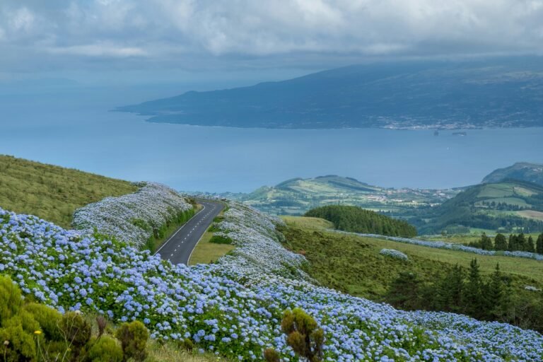 Best Time to Visit the Azores: Month by Month (Weather, Whales, Crowds & Costs)