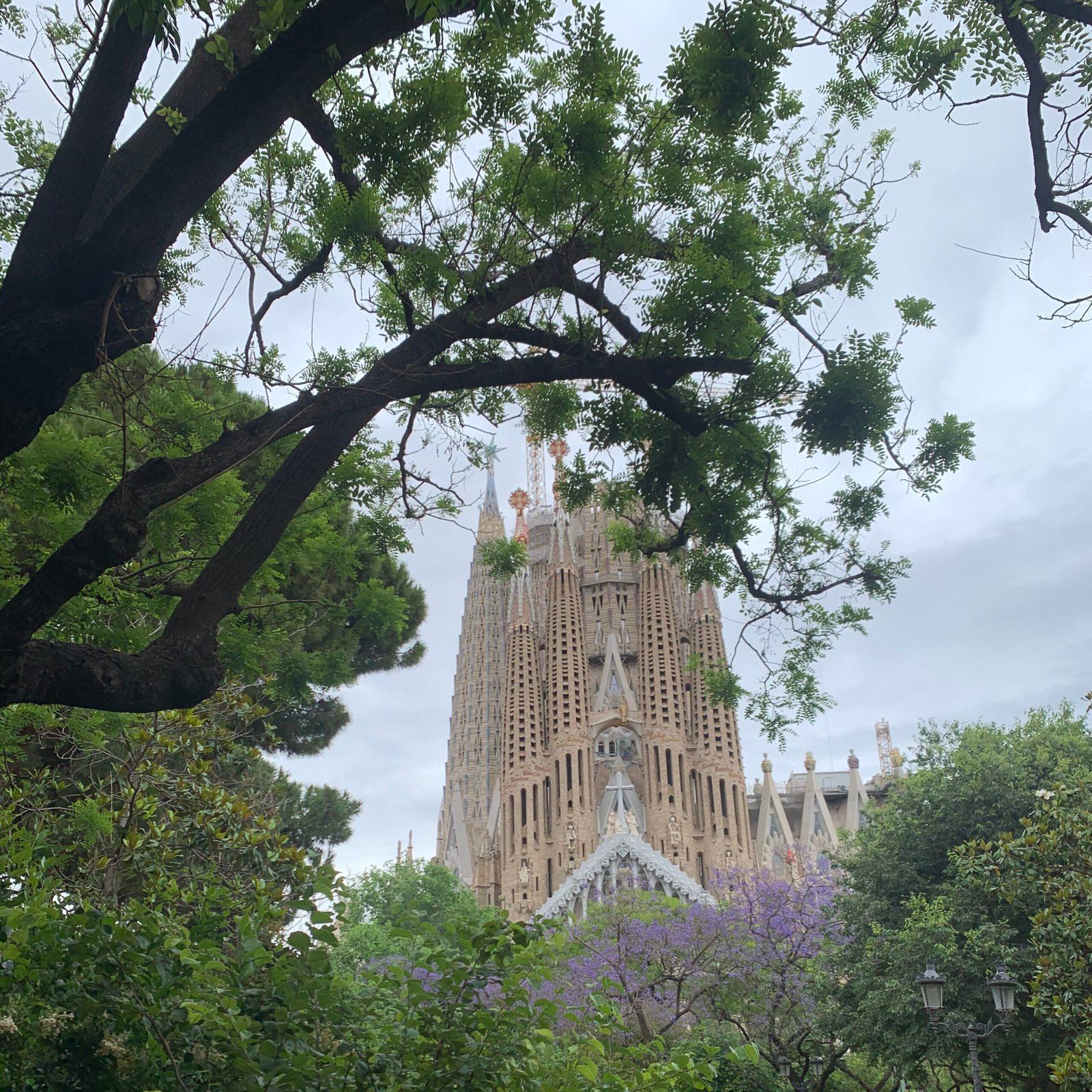 Sagrada Família surrounded by trees and visitors in Barcelona