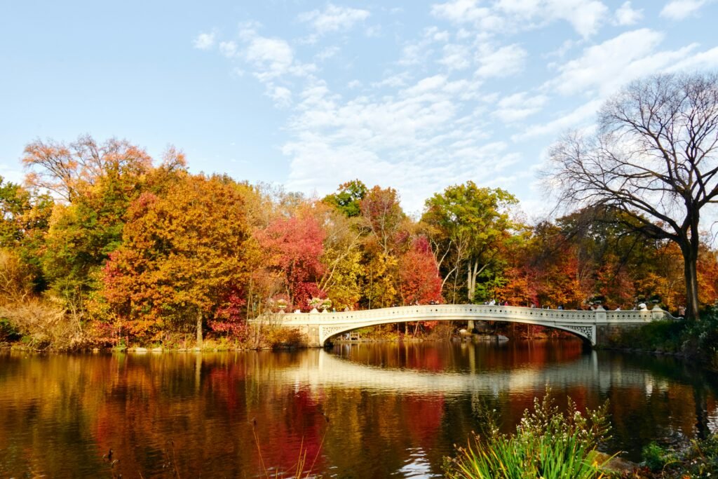 Bow Bridge in Central Park with fall foliage in New York City