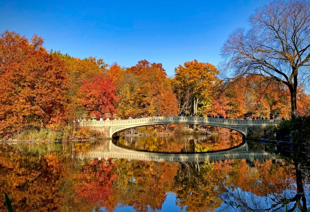 Bow Bridge in Central Park surrounded by orange fall foliage reflected in the lake