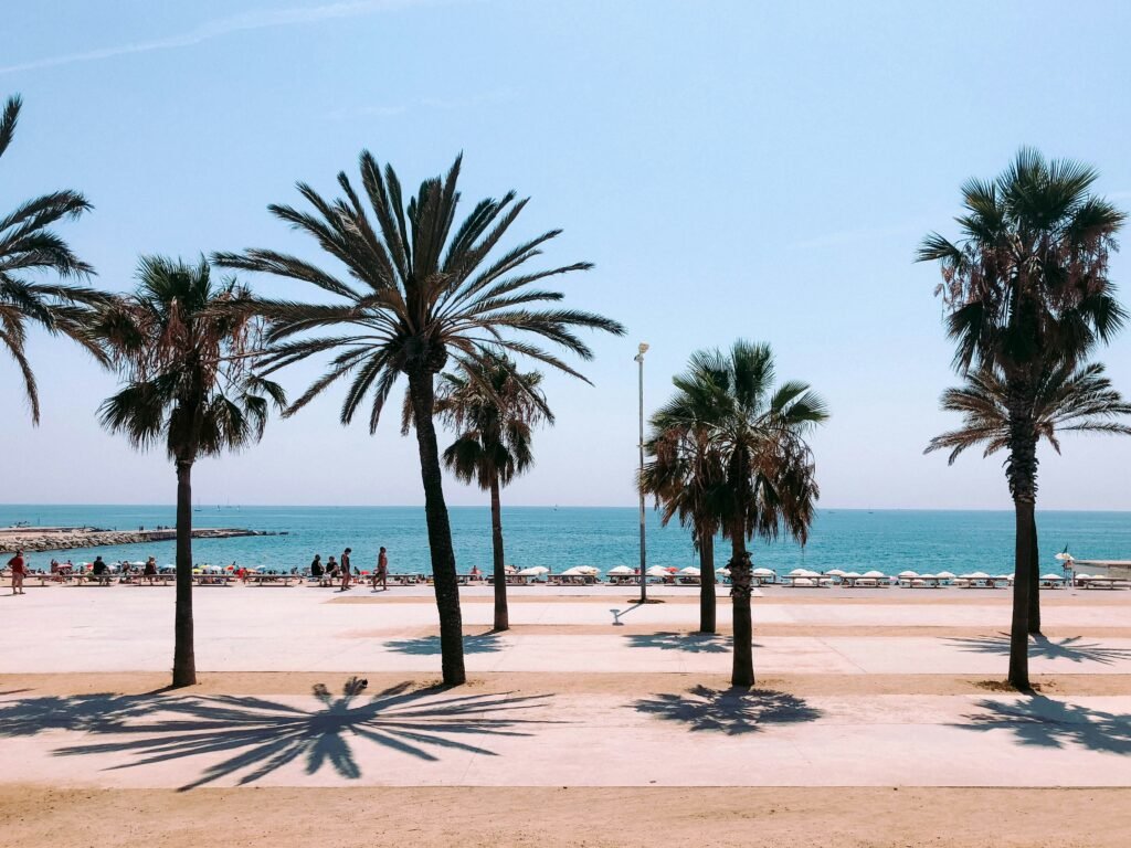 Barcelona skyline and coastline in warm September light