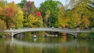 Central Park NYC: Pedicab Tour, Walking Tour or Self-Guided? (Visitor Guide)