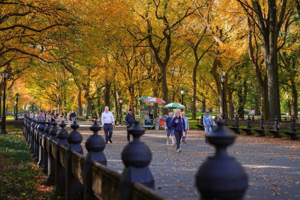 People walking along The Mall in Central Park under yellow autumn trees