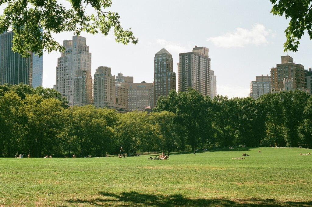 Central Park lawn with the Manhattan skyline in New York City