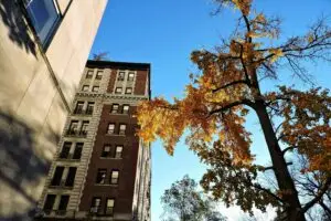 Best Fall Foliage Day Trips from NYC (Ranked Guide
