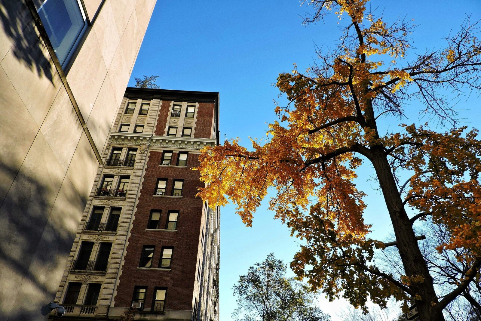 Best Fall Foliage Day Trips from NYC (Ranked Guide