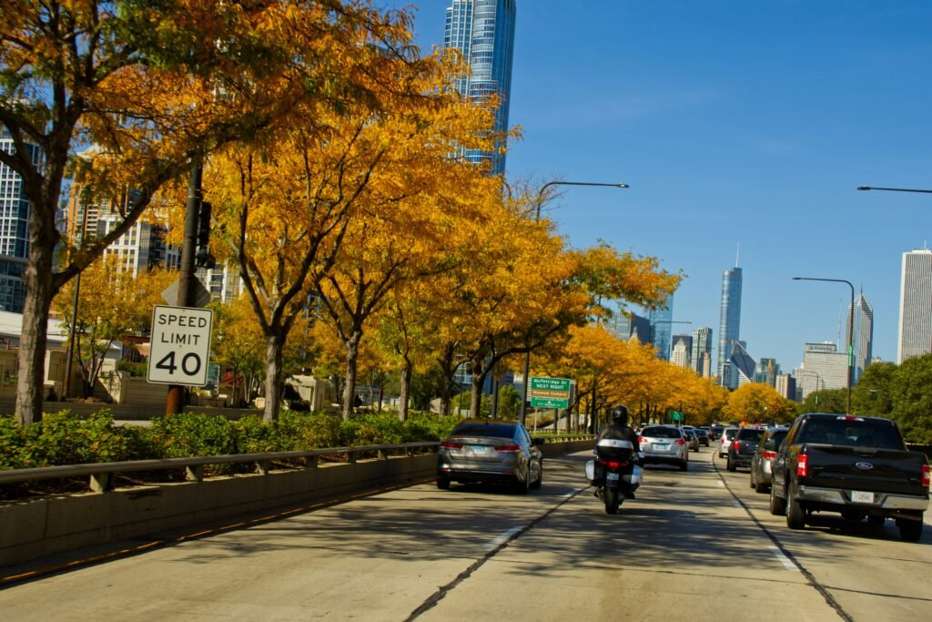 Fall foliage along a Chicago lakefront road with the skyline ahead