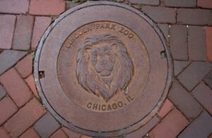 Lincoln Park Zoo Chicago: Is It Worth Your Time? (Free Admission Guide)