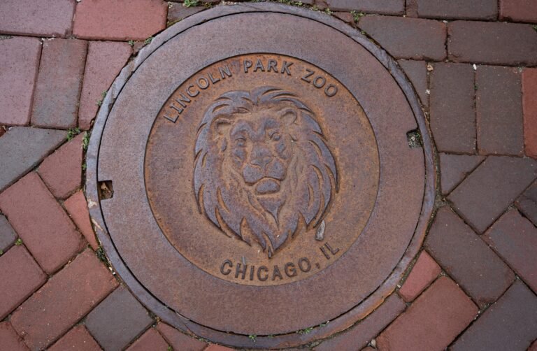 Lincoln Park Zoo Chicago: Is It Worth Your Time? (Free Admission Guide)