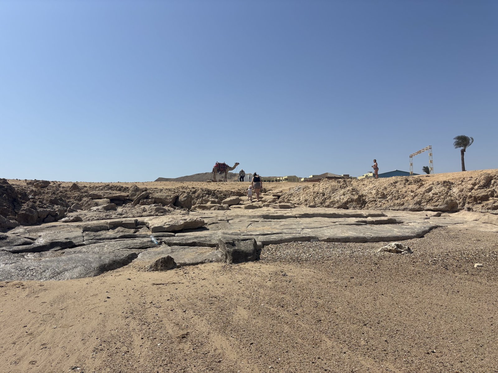 A camel standing on a rocky desert ridge in Egypt with a woman and a small child walking up the rocks below