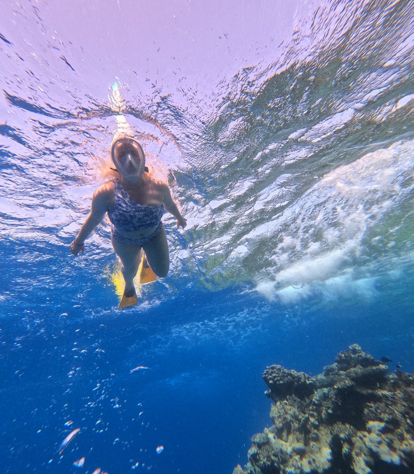 A snorkeler swimming above a coral reef in deep blue water on a Red Sea boat trip