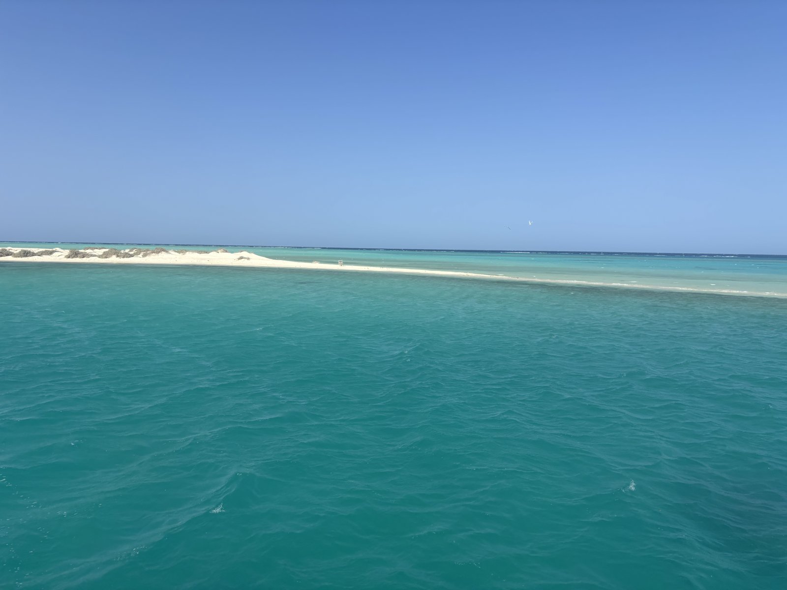 A low white sand island surrounded by turquoise shallow water in the Red Sea, seen from the boat